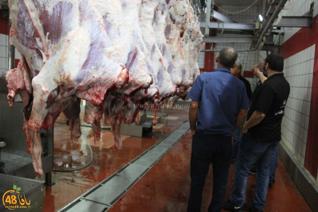 jam3iya yaffa 3ojolej (9).jpg